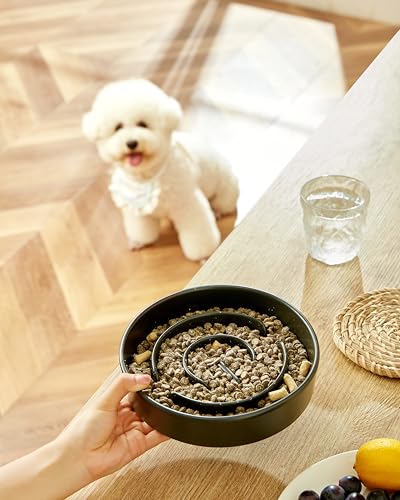 Ceramic Slow Feeder Dog Bowls, 2.0 Cups Slow Feeder for Medium Dogs, Puzzle Maze Bowl to Slow Down Eating, 30oz, 8in, Black - color: Black, size: 8 Inches