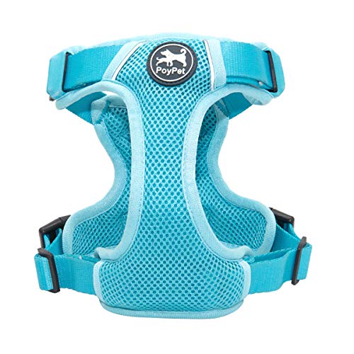 PoyPet Reflective Soft Breathable Mesh Dog Harness No Choke Double Padded Vest Adjustable(Light Blue,S) - color: Blue, size: S