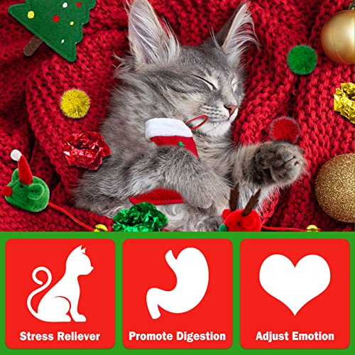 Cat Christmas Stocking, 10 Pack Gifts for Christmas, Interactive Feather Toy with Catnip, Cat Ball Toys, Crinkle Balls, Mice Toys for Indoor Cats & Kitten - style: G-Christmas-10pcs