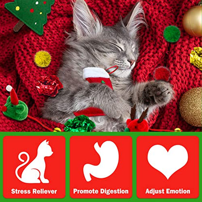 Cat Christmas Stocking, 10 Pack Gifts for Christmas, Interactive Feather Toy with Catnip, Cat Ball Toys, Crinkle Balls, Mice Toys for Indoor Cats & Kitten - style: G-Christmas-10pcs