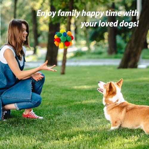 PAWISE Snuffle Ball for Dogs, Sniffle Treat Puzzle Toy, Dog Snuffle Balls, Snuffle Toy, Machine Washable, Foraging Sniffle Treat Ball for Puppies and Boredom Relief (Red Rainbow) (Medium) - size: Medium