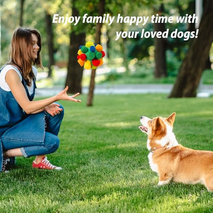 PAWISE Snuffle Ball for Dogs, Sniffle Treat Puzzle Toy, Dog Snuffle Balls, Snuffle Toy, Machine Washable, Foraging Sniffle Treat Ball for Puppies and Boredom Relief (Red Rainbow) (Medium) - size: Medium