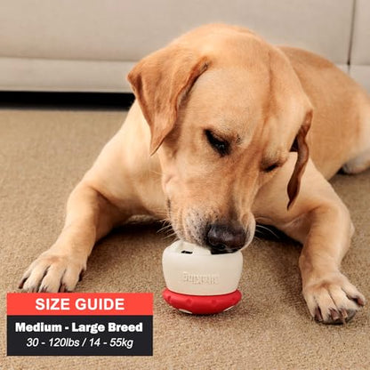 Natural Rubber Long Lasting Interactive Dog Toys to Keep Them Busy, Freeze Enrichment Toys for Medium and Large Dogs - Lifetime Replacement - Frozen Puzzle Treat Dispensing Dog Toys - color: Frozen Mushroom Dog Toy