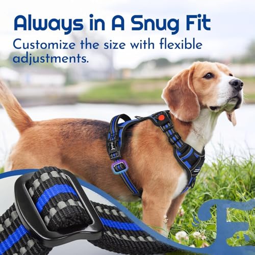 Dog Harness Small Sized, Easy Wearing with 3 Buckles, Adjustable No Pull Pet Harness with 2 Rings for Walking, No Chock Reflective Soft Padded Vest with Control Handle, Blue & Black, S - color: Blue & Black, size: Small