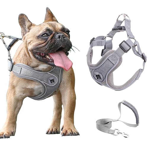 Small Dog Harness and Leash Set,No Pull Adjustable Step in Soft Mesh Vest Harness,Easy Walk Reflective Pet Harness with Padded Handle for Walking Training Small Medium Large Dogs and Cats (Grey, S) - color: Grey, size: S