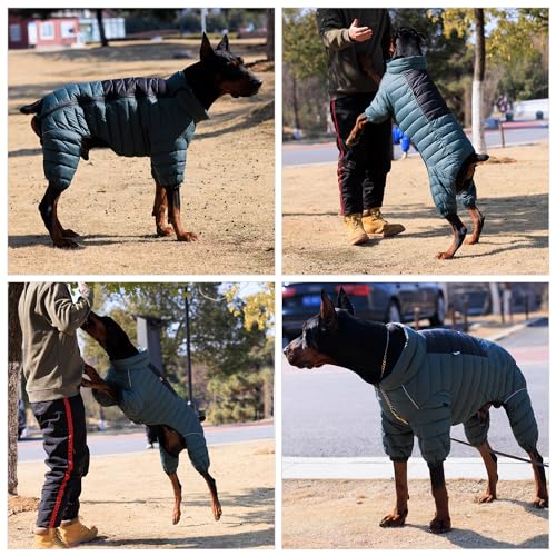 ArmyGreen Dog Warm Coat, Waterproof Windproof Reflective Vest, Zippered Adjustable Snow Jacket for Small to Large Dogs - color: Armygreen, size: M (12.5inch Back)