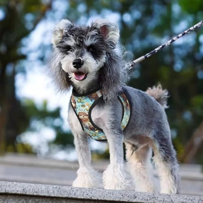 Otter Pet Harness Escape Proof Dog Harness Adjustable Mesh Padded Reflective Dog Vest Harness and Leash Set Small - color: Style 6, size: Small
