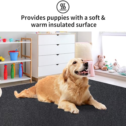 Kennel Pad Dog Crate Mat Liner, Absorbs Urine, Waterproof, Non-Slip, Washable Puppy Pee Pad for Kennel Training - Under Pet Cage to Protect Floors, Thin Cut to Fit Design (36" x 24" - 1 Pack) - size: 24" x 36" - 1 Pack