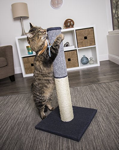 Petlinks Sky Scratch Sisal & Carpet Cat Scratching Post - Gray, One Size - color: Scratching Post
