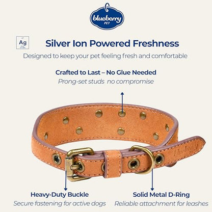 Blueberry Pet Premium Embossed Silver-Powered Freshness Microfiber Suede Leather Dog Collar in Saddle Brown - color: Saddle Brown, size: Small