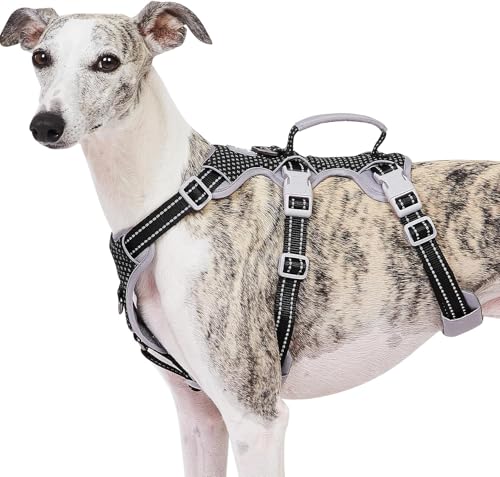 Huntboo Escape Proof Harness, No Slip Dog Harness Escape Proof, Fully Reflective Harness with Handle, Breathable, Durable, Adjustable Vest for Medium Dogs Walking and Training Gear (Black, M) - color: Black, size: Medium(Pack of 1)