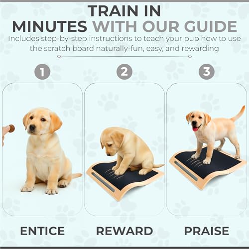 Dog Scratch Board for Nails – Dog Nail Scratch Pad with 2 Extra Sandpapers & Training Guide – Safe Dog Nail File Board for Natural Trimming – Dog Nail Board for All Sizes (Large 16.2in * 16.2in) - size: Large (16.2in * 16.2in)