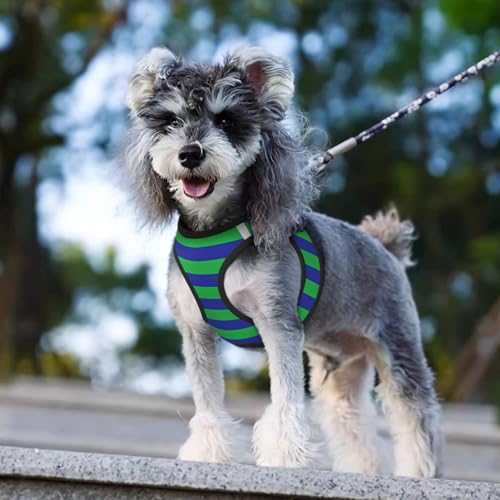 Green and Blue Stripes Dog Harness and Leash Set, No Pull Reflective Adjustable Soft Mesh Padded Pet Vest with Safety Buckle for Small Medium Dogs and Cats Large - color: Green And Blue Stripes, size: Large