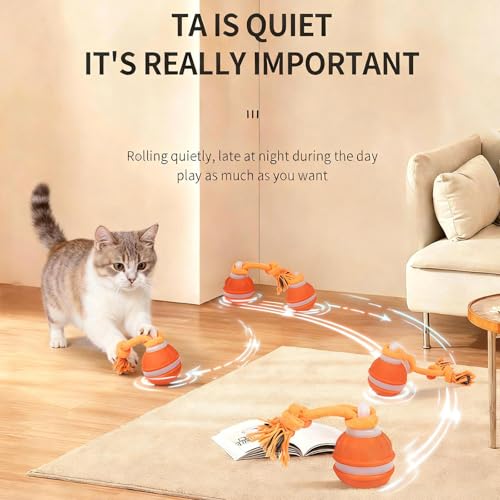 Interactive Dog Cat Toys Dog Ball,Automatic Rolling and Bouncing Moving Dog Toy,Squeaky Rolling Balls with Flashing Light,USB Rechargeable Chew Toys for Puppy Small Dogs, Pet Ball to Keep Them Busy - color: 1 Blue