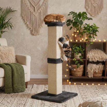 32" Tall Cat Scratching Post, Cat Scratcher with Heavy Duty Thick Wood Base, Cat Tower with Natural Sisal Rope and Hanging Ball, Plant-Like Design Scratching Post, for Small and Adult Kittens, Grey - color: Dark Grey