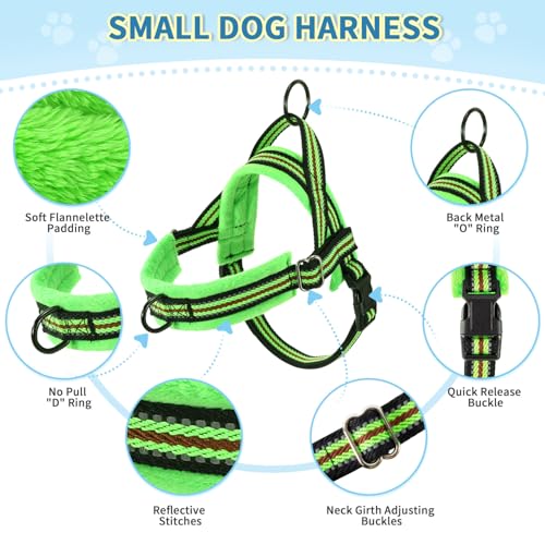 Lukovee No Pull Dog Harness and Leash Set, Soft Padded Small Dog Harness, Neck & Chest Adjustable Reflective Vest Puppy Harness with 4ft Lightweight Anti-Twist Dog Leash for Small Dogs (XXS, Green) - color: Green - with Stripe, size: XXS ( Chest 11.5'' ~
