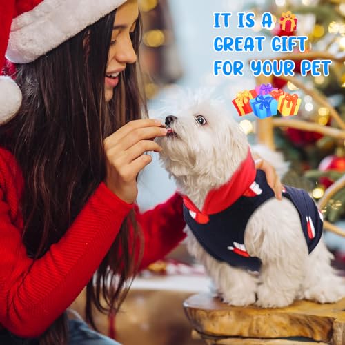 Reginary 10 Pack Small Dog Sweaters Fleece Pet Dog Clothes with Leash Ring Soft Warm Winter Puppy Plaid Shirt(Bright) - size: Small,3.3-5.5 lb, style: Bright