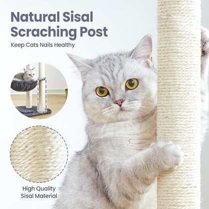 Small Cat Tree Tower with Lots of Scratching Posts - 42 Inch Medium Compact Cats Scratch House with Hammock Perch for Multi Level 2 Kitty - Indoor Corner Cat Bed Condo Climbing Gym Towers Furniture