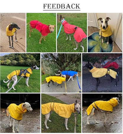 Greyhound Whippet Raincoat Waterproof with Reflective Stripe high Neck fit for Italian Greyhounds Whippets Long Back Breeds - Yellow - M - color: Yellow, size: Medium
