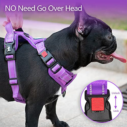 PoyPet No Pull Dog Harness, No Choke Reflective Dog Vest, Adjustable Pet Harnesses with Easy Control Padded Handle for Small Medium Large Dogs(Purple Matching Trim,XS) - color: Purple(Matching Trim), size: XS