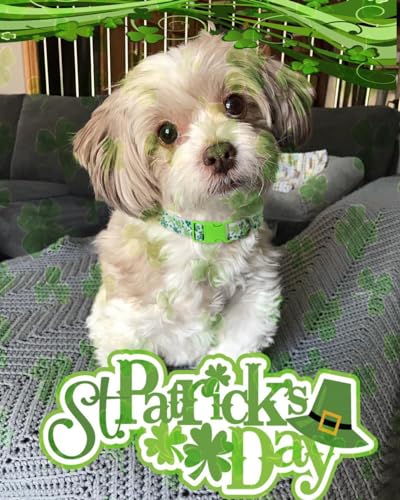 St Patricks Day Dog Collar 2 Pack, Shamrock Dog Collar Green for Medium Dogs - color: St Patricks Day, size: M