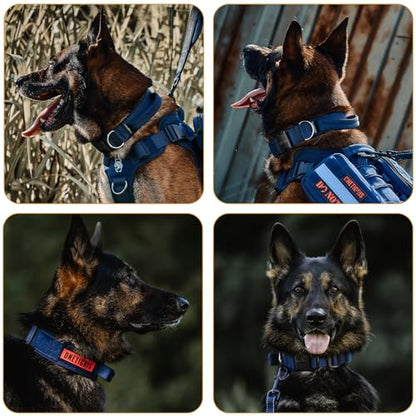 OneTigris Tough Dog Collars, Tactical Dog Collar with Handle, Milltary Adjustable Dog Collar with Heavy Duty Metal Buckle for Training (Blue, S) - color: Blue, size: S