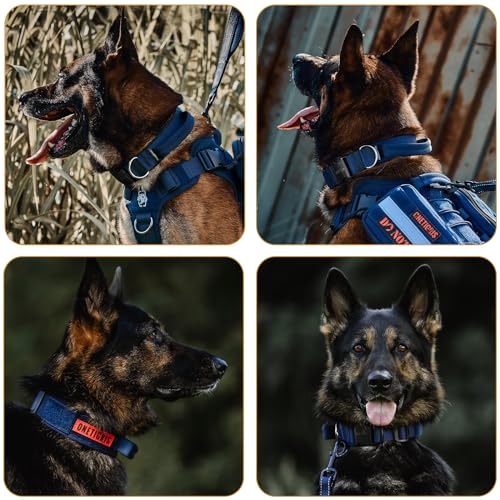 OneTigris Tough Dog Collars, Tactical Dog Collar with Handle, Milltary Adjustable Dog Collar with Heavy Duty Metal Buckle for Training (Large,Blue) - color: Blue, size: L