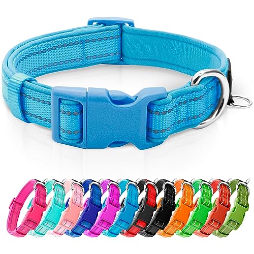 Reflective Dog Collar,Soft Neoprene Padded Pet Collar with ID Tag Ring,Adjustable for Puppy and Small Dogs,Sky Blue,XS - color: Sky Blue, size: X-Small (Pack of 1)