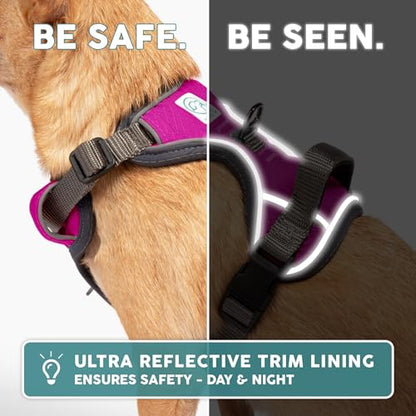 Embark Adventure Dog Harness for Small, Medium & Large Dogs – No Pull, Reflective Trim, Military Grade Nylon, 2 Leash Clips, Gel-Lined Handle, Soft Padded - color: Pink, size: XS