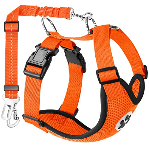 Lukovee Dog Seat Belt for Car, Adjustable Dog Car Harness for Large Medium Small Dogs, Soft Padded & Breathable Mesh Dog Seatbelt with Car Strap and Carabiner (Orange,XXS) - color: ·Orange, size: XX-Small
