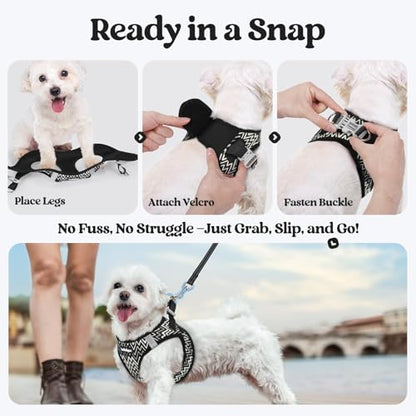 rabbitgoo Dog Harness Small Sized and Leash Set, Step in Soft Light Puppy Vest, Breathable Mesh Pet Harness, Reflective for Safe Easy Walking, Black Zigzag XXS - color: Black Zigzag, size: Xxs (chest: 12.4 - 14.2")