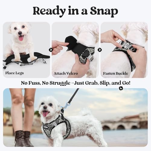 rabbitgoo Dog Harness Small Sized and Leash Set, Step in Soft Light Puppy Vest, Breathable Mesh Pet Harness, Reflective for Safe Easy Walking, Black Zigzag M - color: Black Zigzag, size: M (chest: 16 - 18.5")