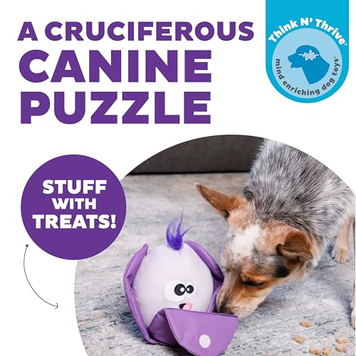 Outward Hound by Nina Ottosson Hide N' Find Interactive Plush Dog Puzzle, Durable Dog Toy, Plush Enrichment Toys, Cauliflower, Purple - color: Hide N' Find Cauliflower