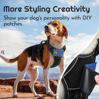 Dog Harness Small Sized, Easy Wearing with 3 Buckles, Adjustable No Pull Pet Harness with MOLLE System, No Choke Reflective Vest with Control Handle, Black, S - color: Black, size: Small