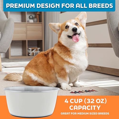 Master Pet Supply Stainless Steel Dog Bowls Set of 2 (32 Oz Each) with Non-Slip Rubber Base - Bone White - Basic Dog Food Bowl Water & Food Bowls for Small Medium Large Dogs & Cats, Metal Dish - color: Bone White, size: 4 Cups (32 oz) 2 Pack