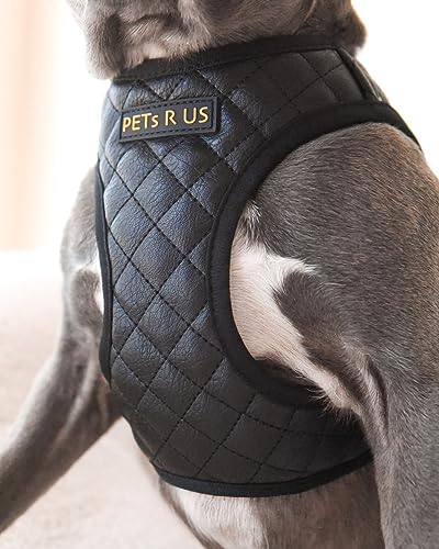 Step in Dog Cat Harness Lightweight Breathable Mesh Soft Padded Pet Vest Vegan Leather Choke Free Escape Proof for Small Medium Dogs (Black, Small) - color: Black, size: Small: Neck=9.4-11.4''/Chest=14.5-17''