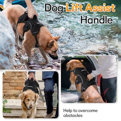 rabbitgoo Escape Proof Dog Harness, Soft Padded Full Body Pet Harness, Reflective Adjustable No Pull Vest with Lift Handle and Leash Clip for Large Dogs Walking Hiking Training, L, Black - color: Black, size: Large (Pack of 1)