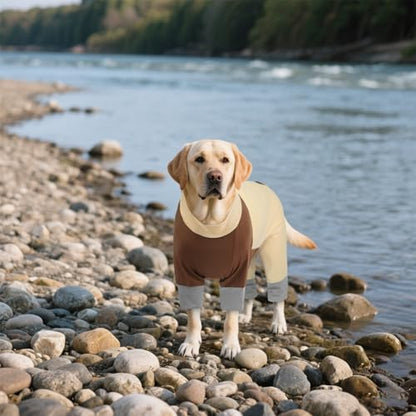 Dog Sunscreen Shirt X Large UV Protection Shirt for Summer Lightweight, Stretchable, and Quick-Drying Keeps Your Pet Cool and Safe from Sun Damage YellowBrwon XL - color: YellowBrwon, size: XL