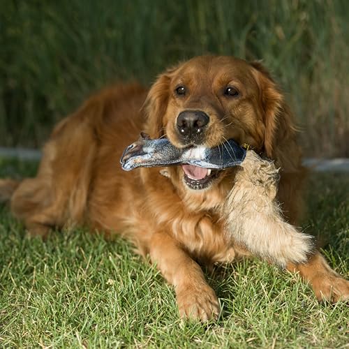 Browning Pet Training Tools, Durable Dog Toys for Tug and Fetch, Squirrel Fabric Squeaker, One Size - color: Squirrel Fabric Squeaker