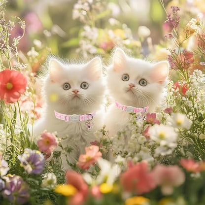 2 Pack Pink Cat Collars - Cute Bow & Daisy Breakaway Cat Collar with Bell & Matching Pendant, Soft Adjustable Spring Summer Girly Kitten Collars for Girl Cats - color: Pink Bow&Daisy