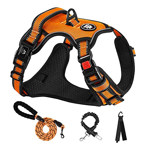 No Pull Dog Harness,Adjustable Oxford Dog Vest Harness with Leash,Reflective No-Choke Pet Harness with Easy Control Soft Handle for Small Dogs(Small,Orange) - color: Orange, size: 【S】neck 11-15" chest 15-21"