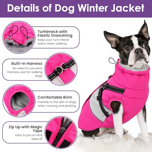Small Dog Coat with Harness Built in, Warm Dog Jacket Winter with Zipper On Back, Waterproof Pet Snow Jacket Snowsuit Pet Sweater Clothes for Puppy, Hot Pink XS - color: Hot Pink, size: X-Small