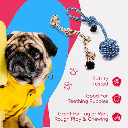 Pacific Pups Products Dog Rope Toys for Medium Dogs 11 Pack (2 Pack) - size: 22 Pack