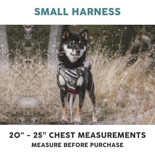 Embark Adventure Small Dog Harness – No-Pull, Reflective Trim, Military-Grade Nylon, Front Clip with Gel-Lined Handle - color: Maverick, size: S