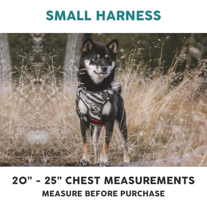 Embark Adventure Small Dog Harness – No-Pull, Reflective Trim, Military-Grade Nylon, Front Clip with Gel-Lined Handle - color: Maverick, size: S