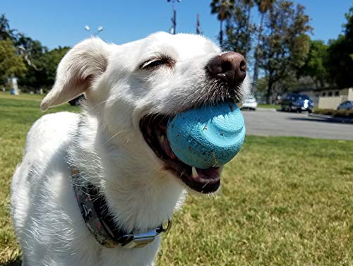 Chuckit Gen 1 Fetch Pack Dog Balls - Interactive Dog Toys, High-Bounce Fetch Ball, Floating Ultra and Rugged Balls, Durable - Size Medium, 2.5-inch Diameter, Set of 3 - size: Medium (2.5"), style: Fetch Pack 1