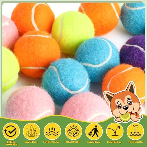 20 Pack Tennis Balls for Dogs, 2 inch Dog Toy Ball with Mesh Bag, Small Tennis Balls Pet Dog Playing Ball for Pet Puppy (5 Color)