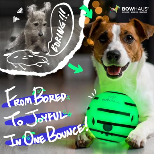 BOWHAUS Giggle Glow in The Dark Ball for Dogs, 5.5 Inch Interactive Dog Exercise Toys, Indestructible Fun Squeaky Chew Toy, Non-Toxic Durable PVC Chew Ball for Indoor Outdoor Play - style: Glowing Ball