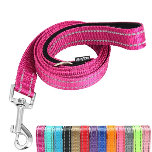 Reflective Nylon Dog Leash for Walking,Strong Dog Leash with Padded Handle for Medium and Large Dogs,6 FT,Rose - color: Rose, size: 1" x 6 FT