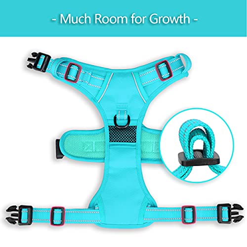PoyPet No Pull Dog Harness, No Choke Reflective Dog Vest, Adjustable Pet Harnesses with Easy Control Padded Handle for Small Medium Large Dogs(Mint Blue Matching Trim,XS) - color: Mint Blue(Matching Trim), size: XS